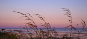 Thumbnail for Source Capital Declares December 2025, January 2026, and February 2026 Distribution