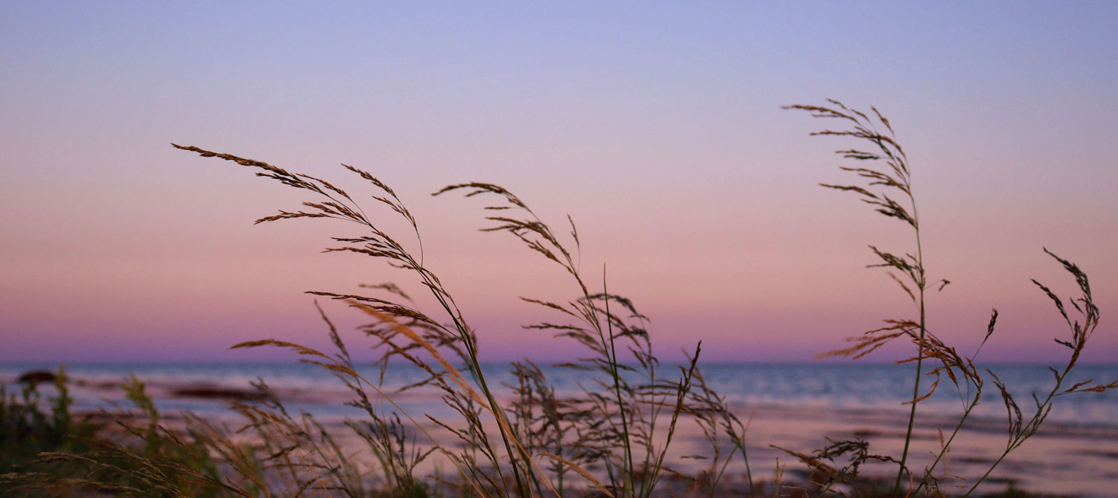 Featured image for FPA Announces the Retirement of Managing Partner J. Richard Atwood