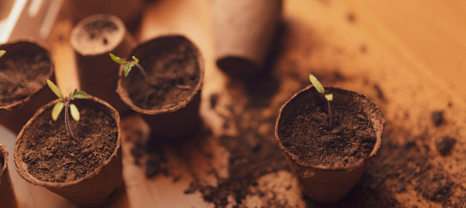 Featured image for FPA New Income Fund 3Q25 Commentary