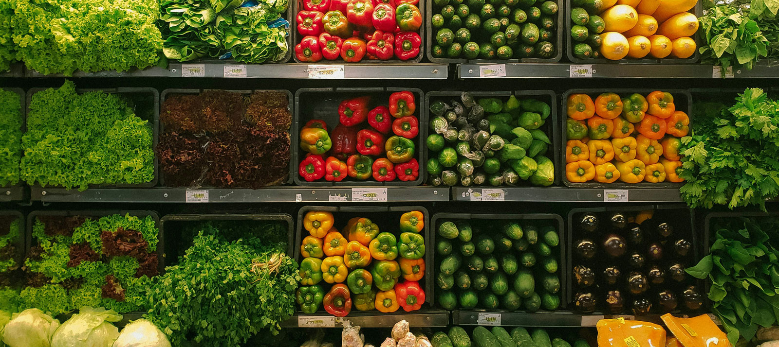 Featured image for FPA Queens Road Small Cap Value Fund 3Q25 Commentary